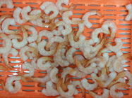 Magnesio de los mariscos del camarón de Vannamei y fósforo ricos congelados frescos del calcio
