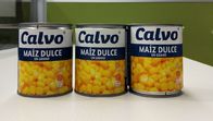 La marca de Calvo conservó el peso neto dulce 241g de Maiz Dulze del maíz para America Central