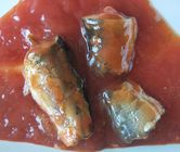 125G / 155G/425G conservó pescados de la sardina en salsa de tomate