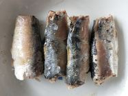 pescados conservados 425g de la sardina con la escala en el aceite vegetal