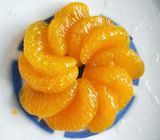 Amarillee la forma conservada de la rebanada de las mandarinas en jarabe ligero/pesado