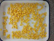 los corazones de maíz conservados GMO no- 425g califican A, maíz dulce adentro pueden