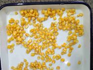 El cultivo 425g del FDA GMO conservó corazones de maíz dulce