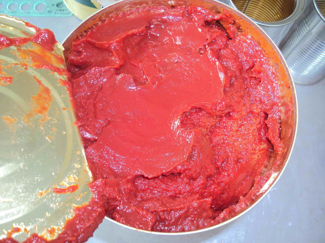 La salsa de tomate fresca de enlatado, pasta de tomate puede esterilización comercial