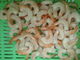 Mariscos congelados frescos del camarón blanco de Vannamei con plazo de ejecución rico del cortocircuito de la nutrición