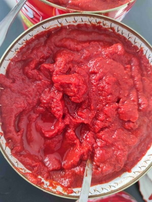 Procesamiento al vapor Salsa de tomate enlatada Materia prima de tomate 100% fresca