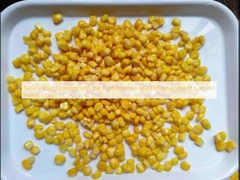 Satisfazca sus antojos con la comodidad y delicia del maíz dulce enlatado