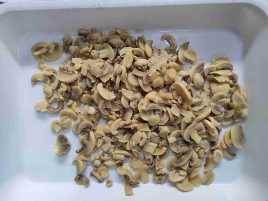 Champiñones enlatados al vapor, ingrediente versátil para cualquier plato