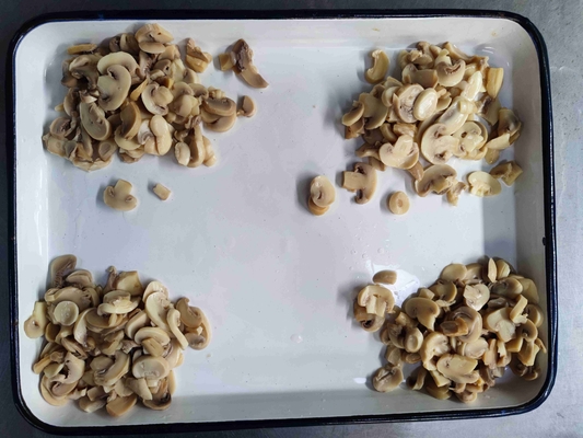 24 Meses Período de validez Producto de champignon enlatado con agua