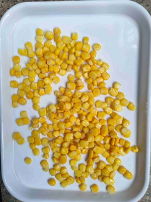 Maíz dulce añadido con agua en la variedad Super dulce