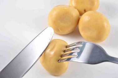 seta conservada pura del champiñón del sabor natural 400g