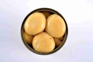 Tipo bísporo conservado entero sano materia prima natural del Agaricus de las setas