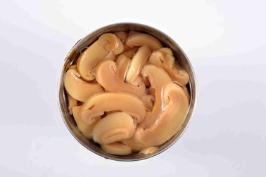 Seta conservada deliciosa del champiñón con plazo de ejecución rico del cortocircuito de la nutrición