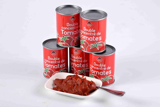 Concentración de salsa de tomate enlatada para los requisitos del cliente