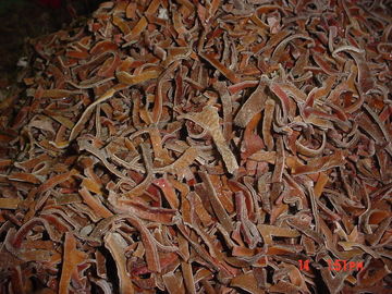 Almacenamiento fungoso negro congelado quebradizo del grado de la raya -18 de las frutas y verduras