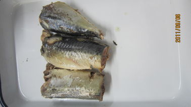 caballa de 425g Jack conservada en Brine en salsa de tomate de China