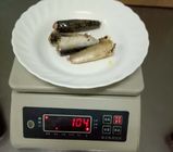 sardinas conservadas del peso neto 125g en nutrición rica del aceite vegetal la diversa