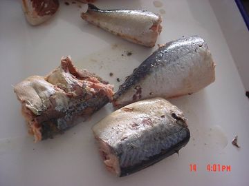 Caballa conservada en Brine, caballa de Jack conservada en salsa de tomate ningunos añadidos artificiales