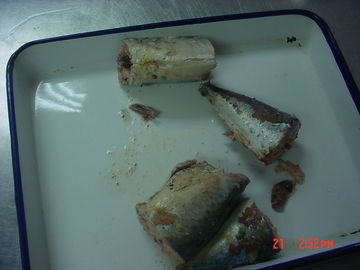 Caballa conservada en Brine, caballa de Jack conservada en salsa de tomate ningunos añadidos artificiales