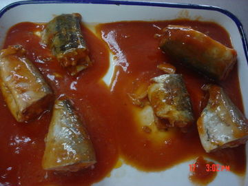 Caballa conservada en Brine, caballa de Jack conservada en salsa de tomate ningunos añadidos artificiales
