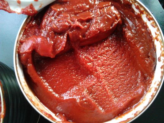 Concentrado de tomate enlatado de alta calificación con certificación HACCP en latas