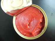 La salsa de tomate estañada, salsa de tomate de enlatado en metal puede etiqueta privada