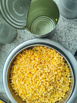 Seasoned Sweet Corn in Can Made from Fresh and Ingredients for Seasoned Dishes