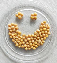 La venta al por mayor conservada precio barato de los garbanzos preservó a Chick Peas 400g