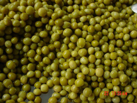 Guisantes Verdes Enlatados Sabor Salado Guisantes Conservados Cumplen con las Regulaciones de Seguridad Alimentaria para un Fácil Almacenamiento