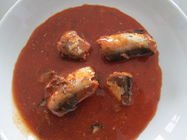Pescados materiales frescos deliciosos de las sardinas del precio competitivo conservados en salsa de tomate