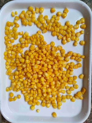 Añadir sabor y nutrición con maíz dulce enlatado en envases de lata Metel