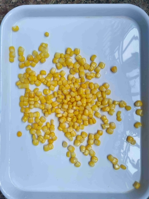 Recetas de Maíz Dulce enlatado Saludables y Deliciosas para la Fabricación y el Comercio