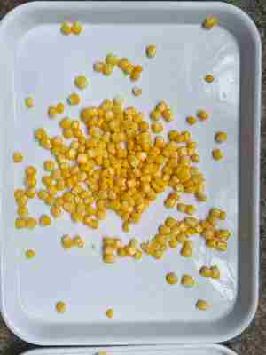 Parte de maíz dulce núcleo de maíz dulce enlatado carga de alérgenos pueden contener rastros de soja y trigo