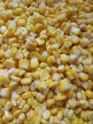 El vacío natural chino de la comida conservó el maíz dulce