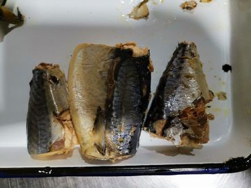 Indicaciones de almacenamiento de la conserva de caballa