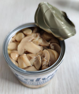 seta conservada A del champiñón del grado de 580ml 720ml con sabor salado