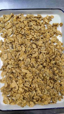 Freshly Picked Canned Mushroom Pieces And Stems with Natural Salt