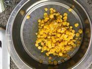 Maíz dulce conservado amarillo suave para la transformación de los alimentos