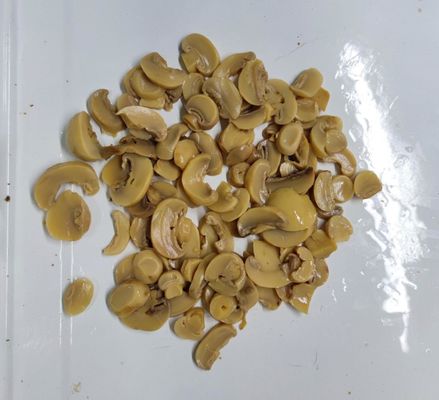 El champiñón de la comida enlatada prolifera rápidamente fresco y delicioso preparados