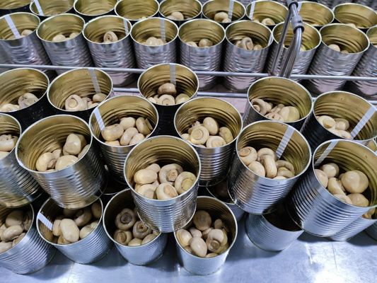 400g / 425g conservó setas chinas conservadas seta entera