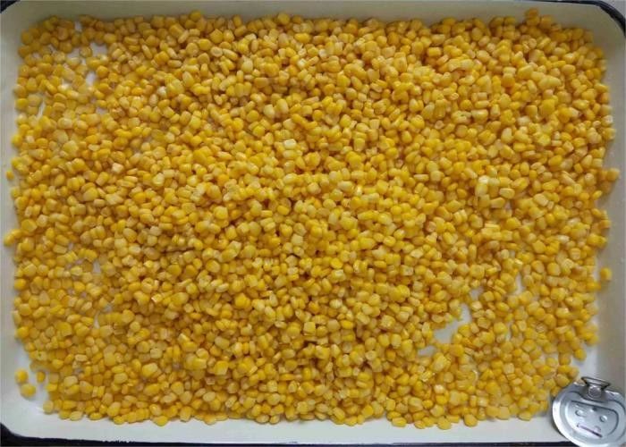 Grado A de maíz dulce enlatado Maíz dulce enlatado en 90g 184g 340g 425g Perfecto para la producción de alimentos y la restauración comercial