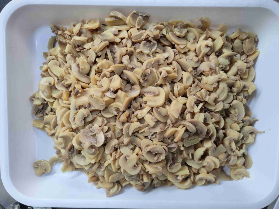 Champiñones en conserva medianos envasados a granel, aptos para servicios de restauración, catering y profesionales culinarios