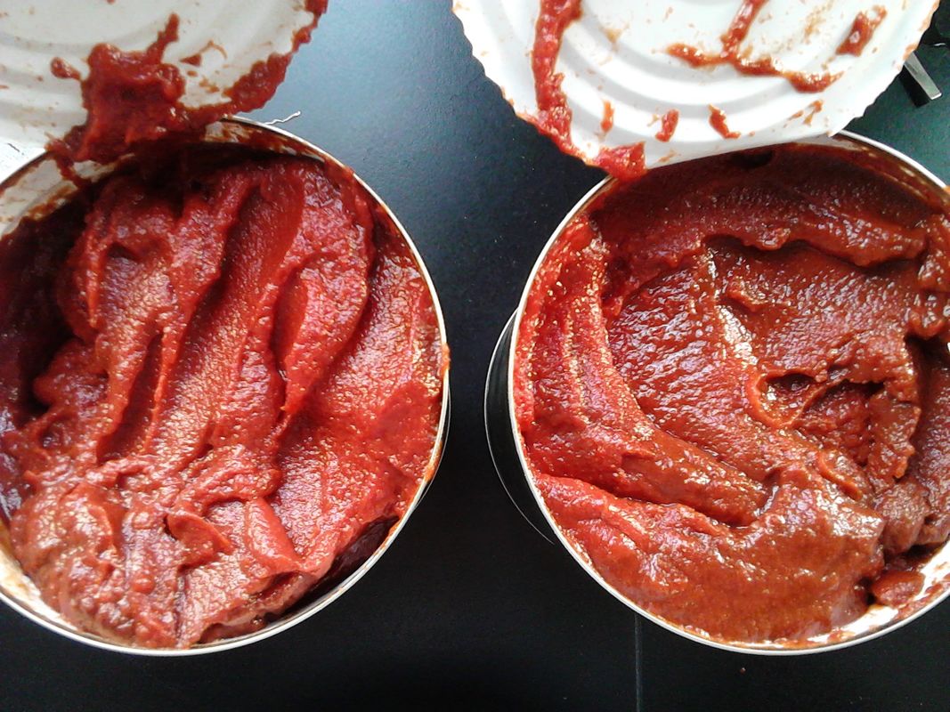 Pasta de tomate enlatada de primera categoría, tipo de procesamiento al vapor