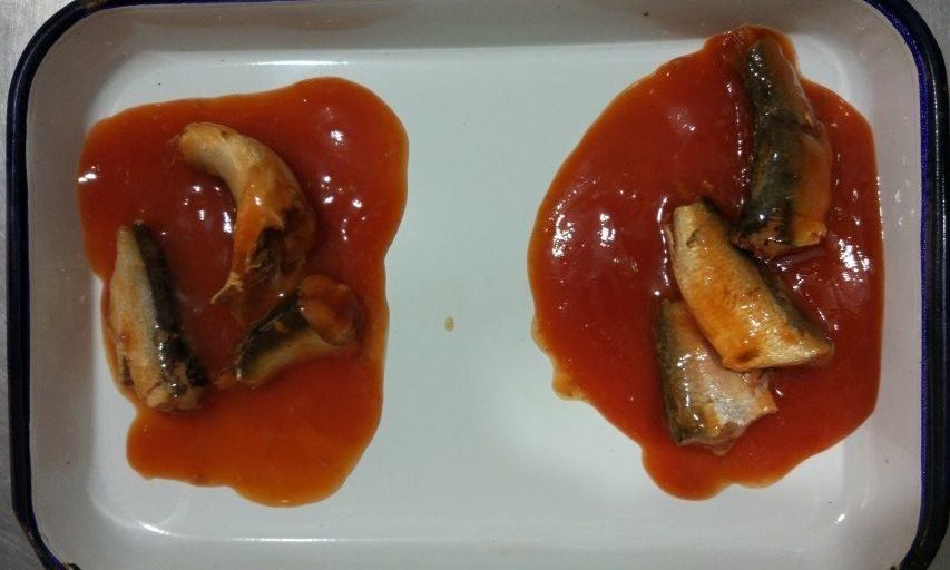 Pescados conservados picantes calientes de la sardina en tamaños y el embalaje de encargo de la salsa de tomate