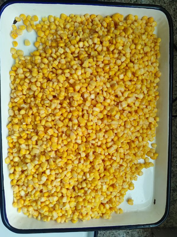 Maíz dulce enlatado condimentado para los mercados nacionales Frutas y setas