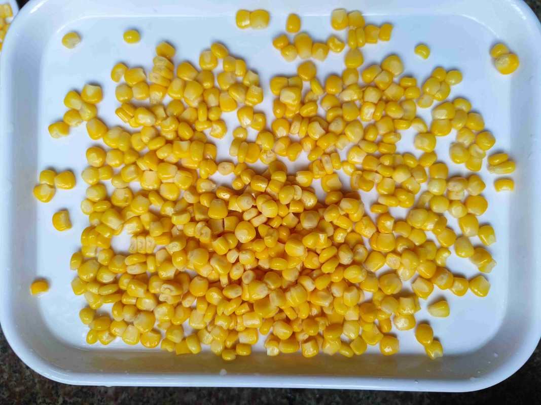 Agregue un salto de sabor y nutrición con maíz dulce enlatado perfecto para tacos y cacerolas