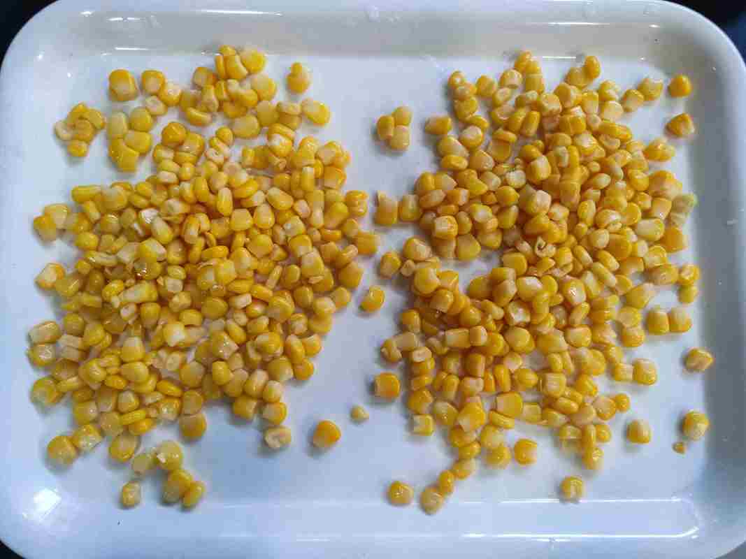 Maíz fresco enlatado, maíz dulce para frutas y champiñones