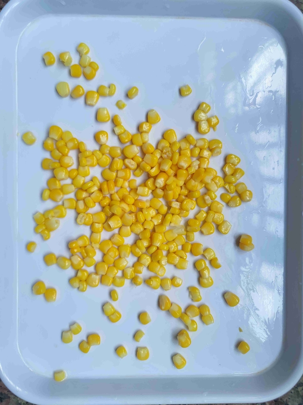 Envases de maíz enlatado de estaño de Metel con embalaje primario de variedad súper dulce
