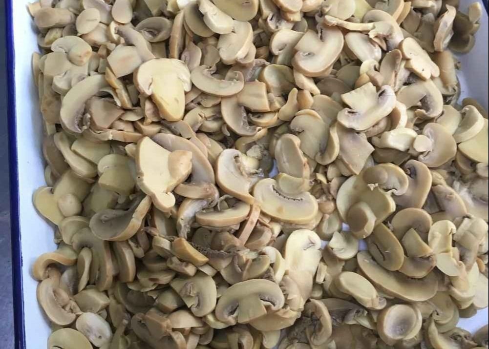 Contiene setas enlatadas Champignon Setas fácil de abrir Capa ideal para cocinas comerciales e instalaciones de procesamiento de alimentos