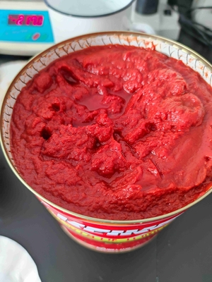 Fecha de caducidad 2 años Pasta de tomate enlatada para guisos Bostwick 5.0--9.0cm/30sec